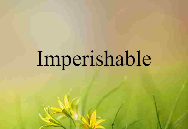 Imperishable (noun) Definition, Meaning & Examples