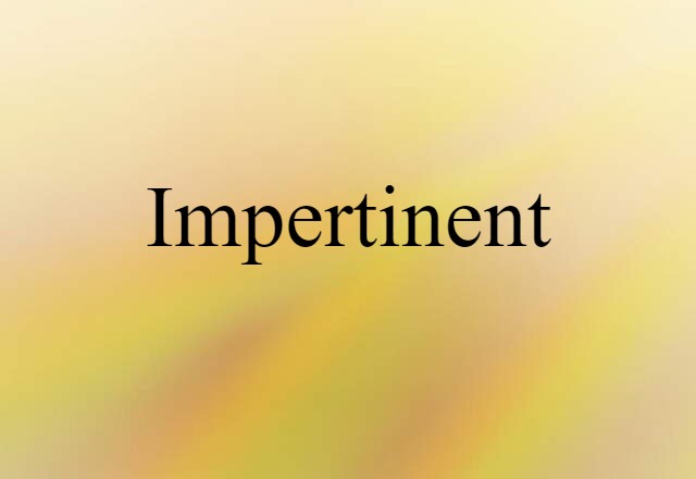 Impertinent (noun) Definition, Meaning & Examples