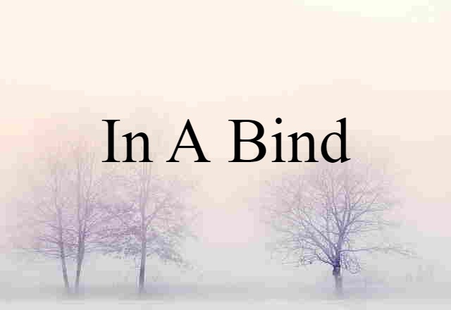 In A Bind (noun) Definition, Meaning & Examples