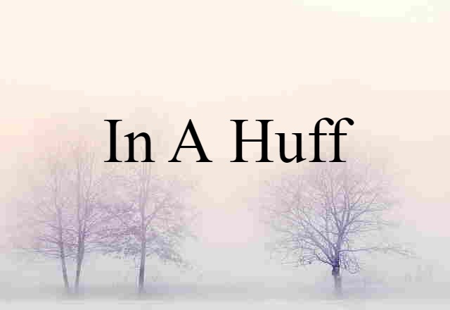 In A Huff (noun) Definition, Meaning & Examples