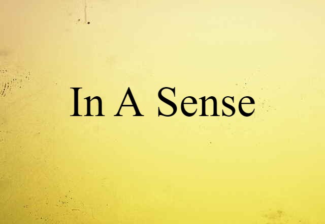 In A Sense (noun) Definition, Meaning & Examples