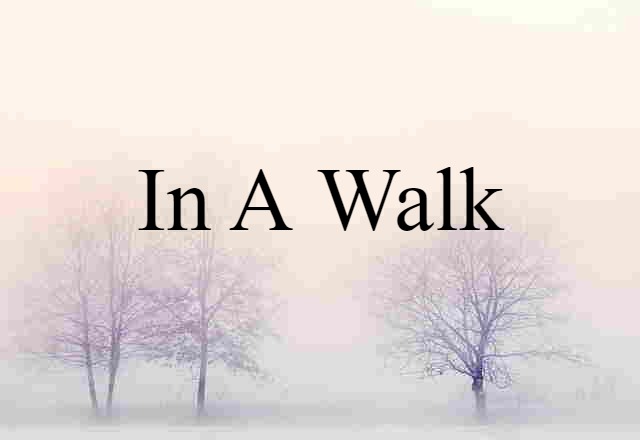 In A Walk (noun) Definition, Meaning & Examples