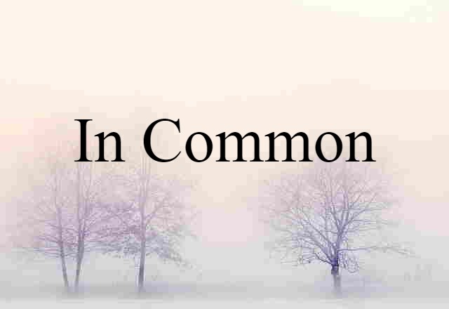 In Common (noun) Definition, Meaning & Examples