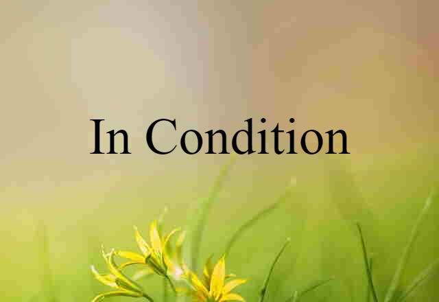 In Condition (noun) Definition, Meaning & Examples