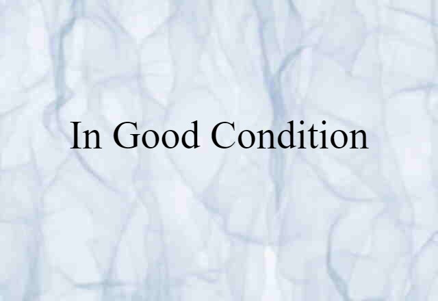 In Good Condition (noun) Definition, Meaning & Examples