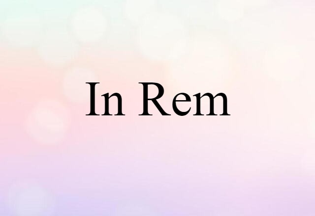 In Rem (noun) Definition, Meaning & Examples