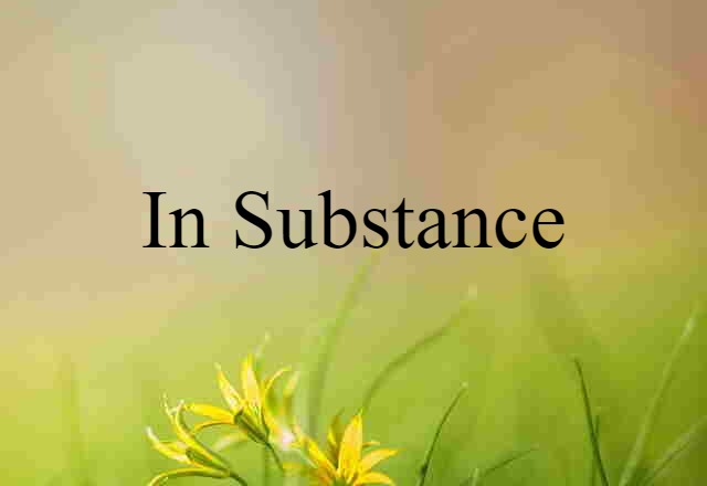 In Substance (noun) Definition, Meaning & Examples