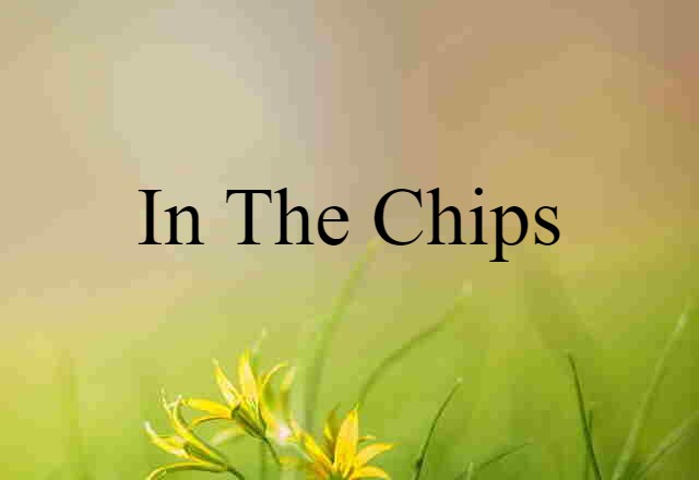 in the chips