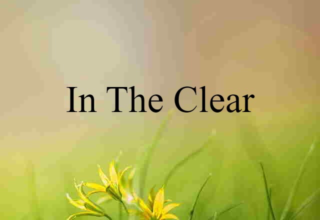 In The Clear (noun) Definition, Meaning & Examples