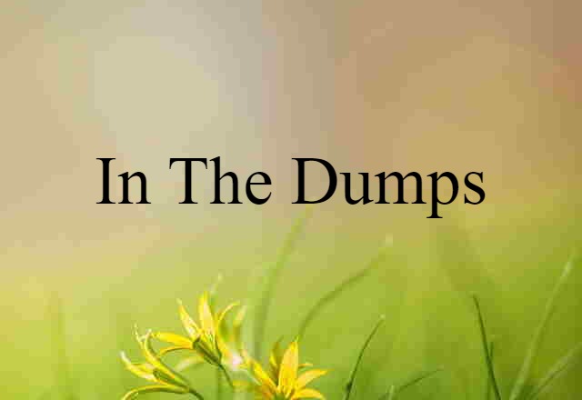 in the dumps