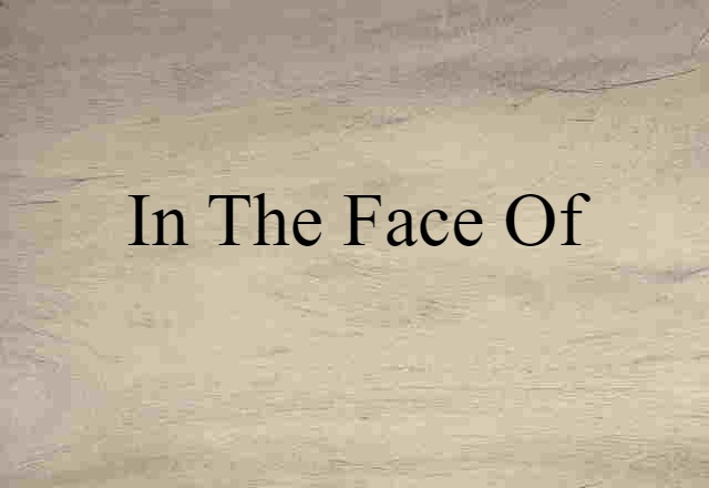 In The Face Of (noun) Definition, Meaning & Examples