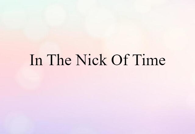 In The Nick Of Time (noun) Definition, Meaning & Examples