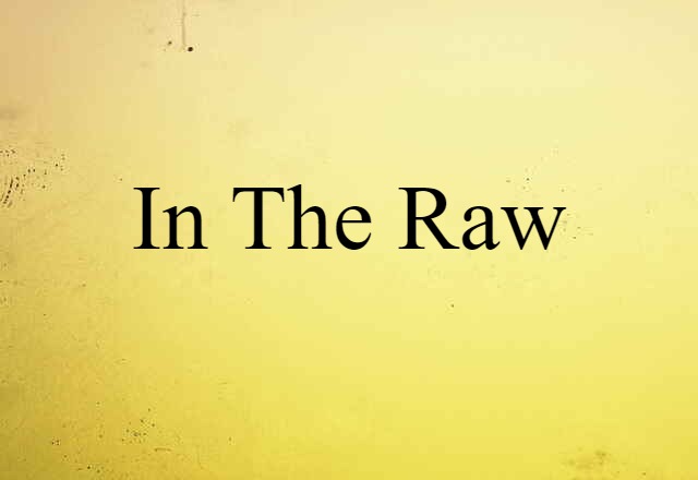 In The Raw (noun) Definition, Meaning & Examples