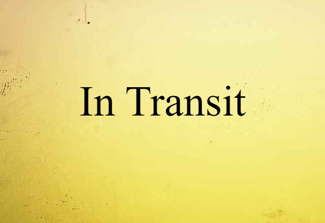 In Transit (noun) Definition, Meaning & Examples