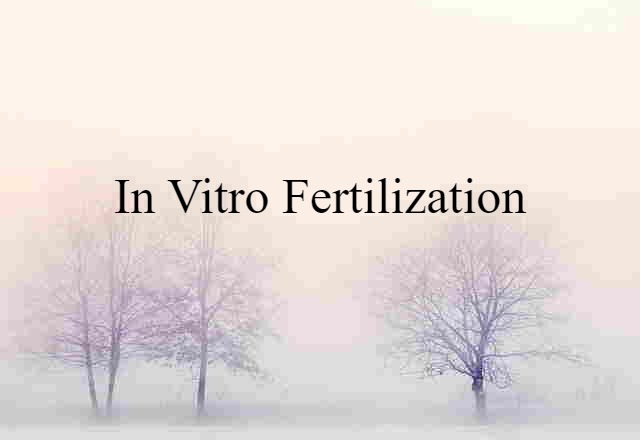 in vitro fertilization