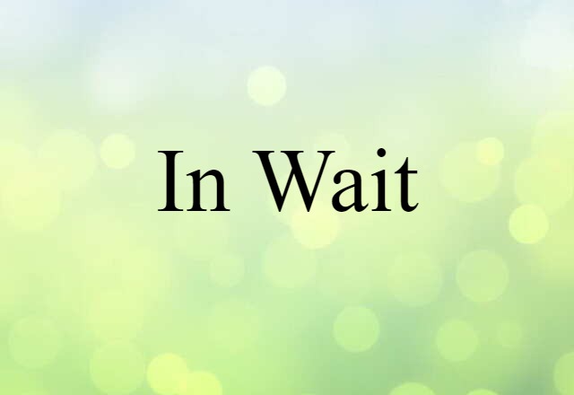 In Wait (noun) Definition, Meaning & Examples