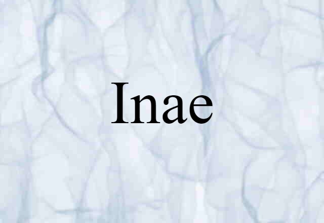 Inae (noun) Definition, Meaning & Examples