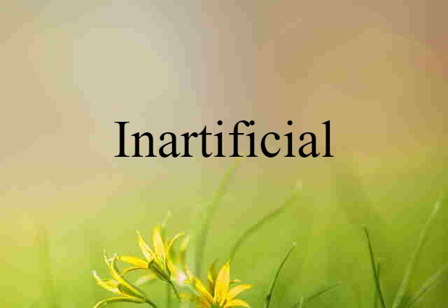 Inartificial (noun) Definition, Meaning & Examples