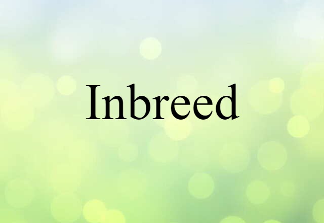 Inbreed (noun) Definition, Meaning & Examples