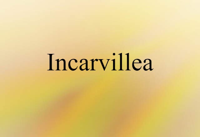 Incarvillea (noun) Definition, Meaning & Examples