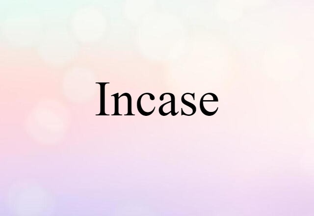 Incase (noun) Definition, Meaning & Examples