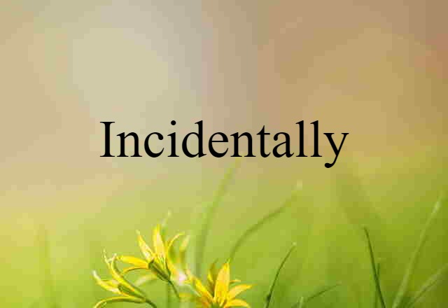 Incidentally (noun) Definition, Meaning & Examples