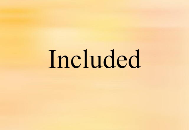 Included (noun) Definition, Meaning & Examples