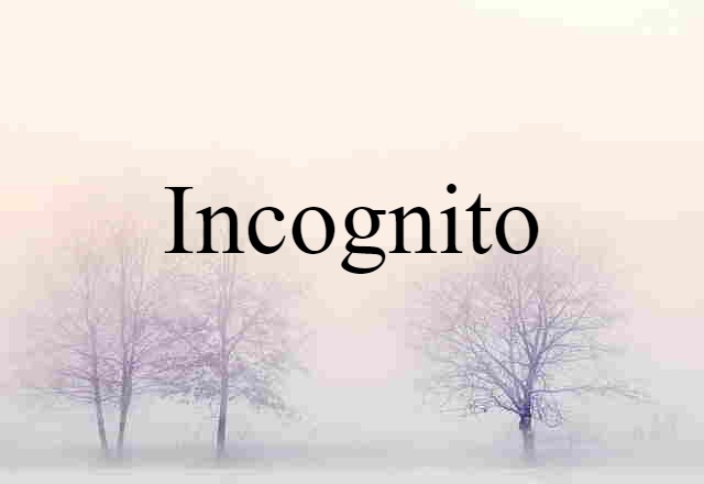 incognito