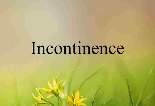 Incontinence (noun) Definition, Meaning & Examples