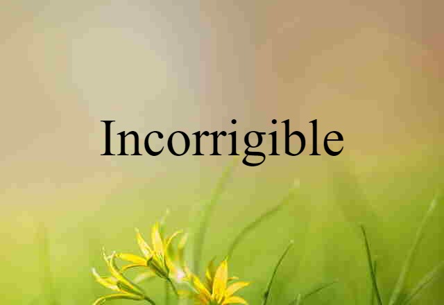 Incorrigible (noun) Definition, Meaning & Examples