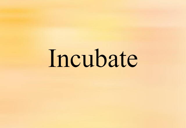 Incubate (noun) Definition, Meaning & Examples