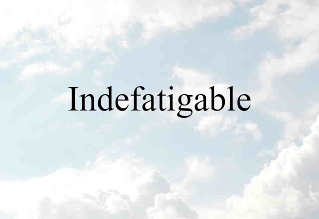 Indefatigable (noun) Definition, Meaning & Examples