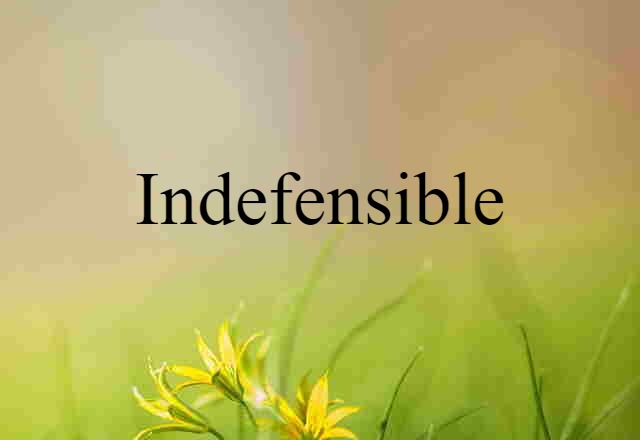 Indefensible (noun) Definition, Meaning & Examples