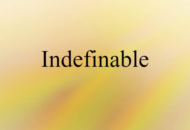 Indefinable (noun) Definition, Meaning & Examples