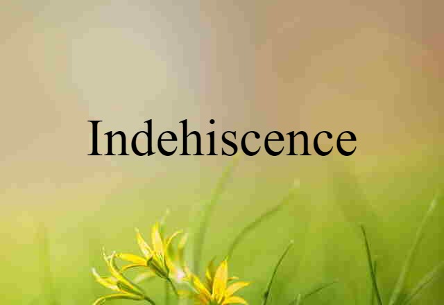 indehiscence