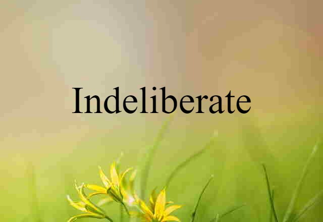 Indeliberate (noun) Definition, Meaning & Examples