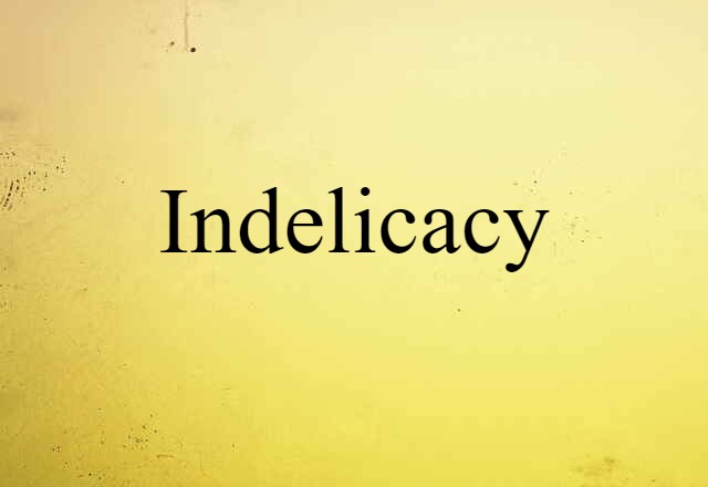 Indelicacy (noun) Definition, Meaning & Examples