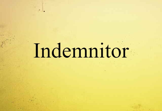 Indemnitor (noun) Definition, Meaning & Examples