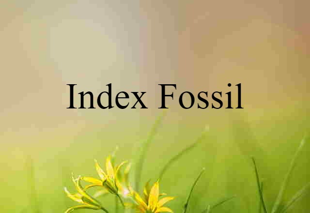 index fossil