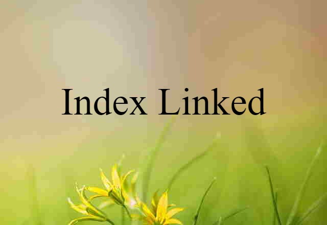 Index-linked (noun) Definition, Meaning & Examples