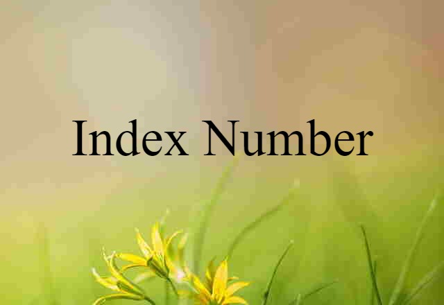 Index Number (noun) Definition, Meaning & Examples