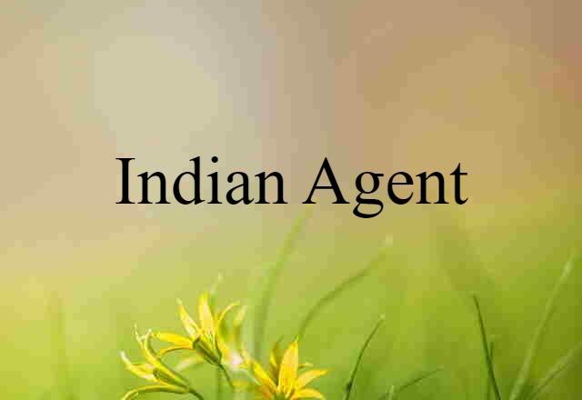 Indian Agent (noun) Definition, Meaning & Examples