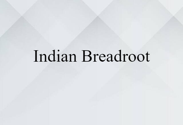 Indian breadroot