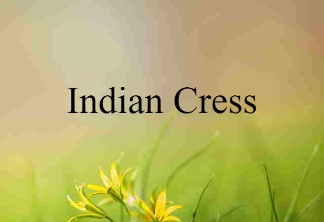 Indian Cress (noun) Definition, Meaning & Examples