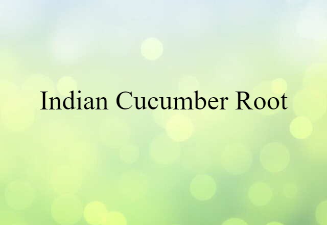 Indian cucumber root