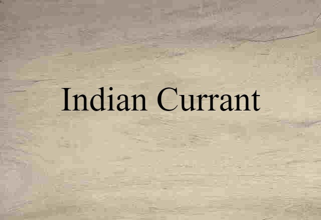 Indian Currant (noun) Definition, Meaning & Examples