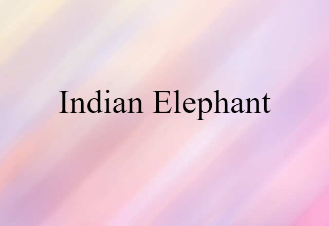 Indian elephant