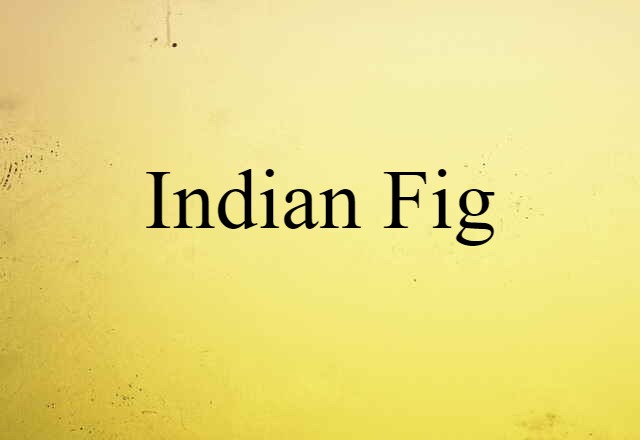 Indian fig