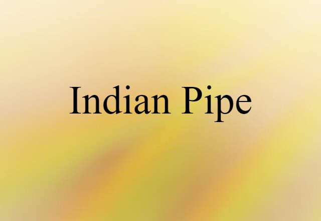 Indian pipe