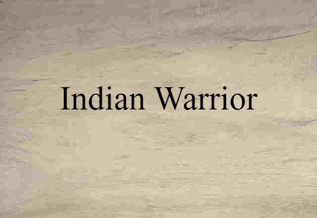 Indian warrior